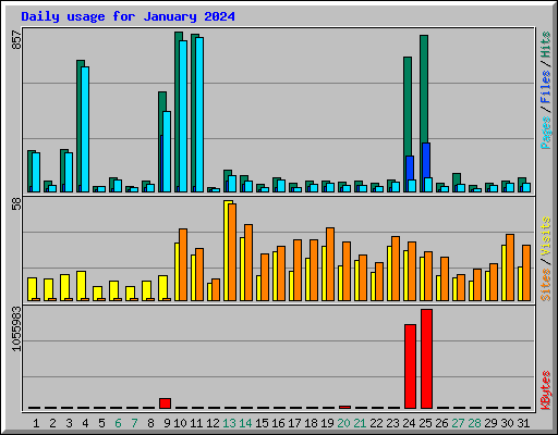 Daily usage for January 2024
