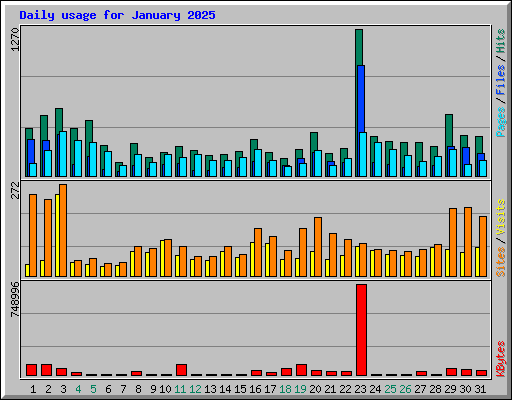 Daily usage for January 2025