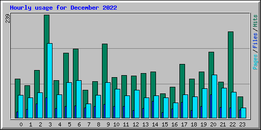 Hourly usage for December 2022
