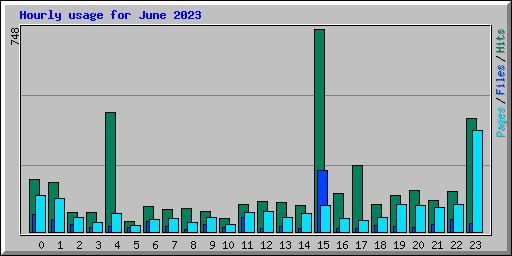 Hourly usage for June 2023