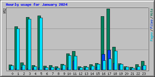 Hourly usage for January 2024