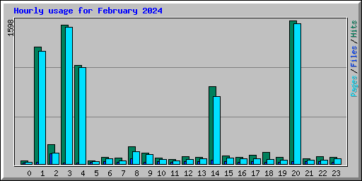 Hourly usage for February 2024