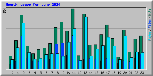 Hourly usage for June 2024