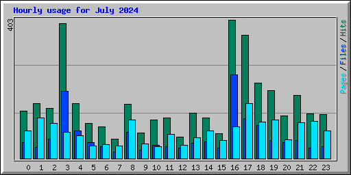 Hourly usage for July 2024