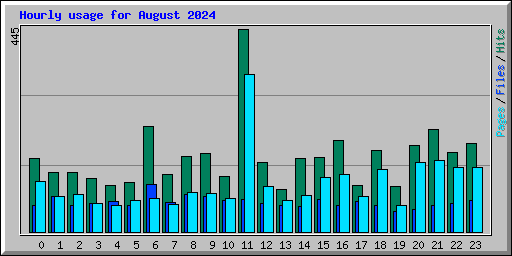 Hourly usage for August 2024