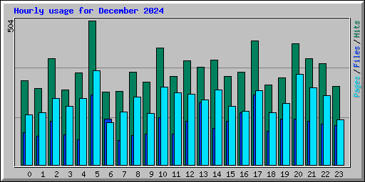 Hourly usage for December 2024