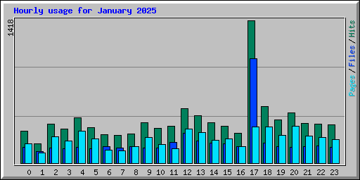 Hourly usage for January 2025