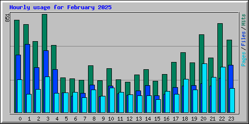 Hourly usage for February 2025