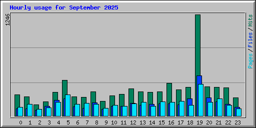 Hourly usage for September 2025