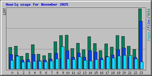 Hourly usage for November 2025