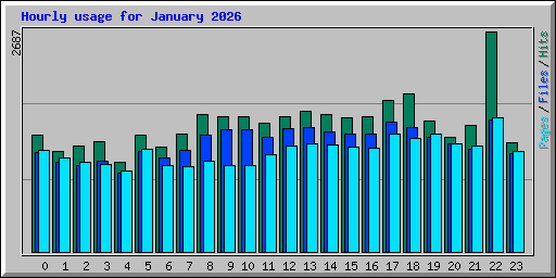 Hourly usage for January 2026