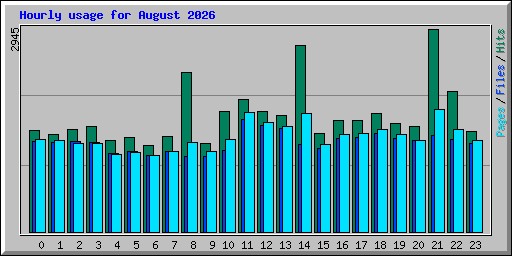 Hourly usage for August 2026
